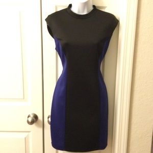 NWT Colorblock Bodycon Dress